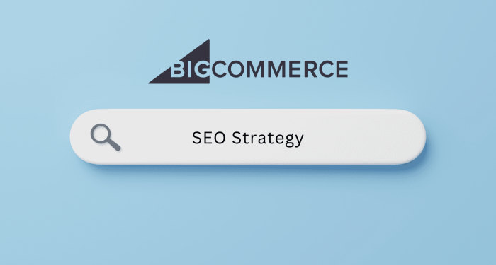 A Quick Guide to BigCommerce SEO - eMarket Experts