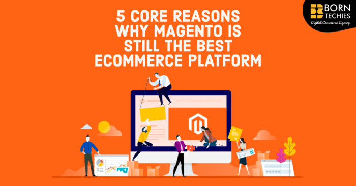 Why Magento? Best Ecommerce Platform Why Magento? Best Ecommerce Platform