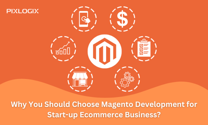 5 Reasons to Choose Magento Development for a New Online Store 5 Reasons to Choose Magento Development for a New Online Store