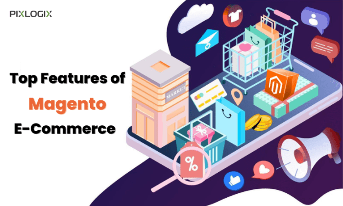 What Are the Key Features of Magento B2B eCommerce Store Development?