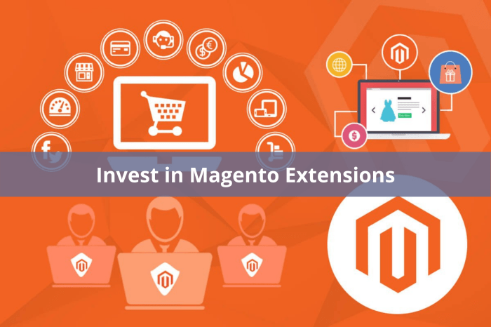 Why You Must Invest in Magento Extensions? - Magento Developer Group Why You Must Invest in Magento Extensions? - Magento Developer Group