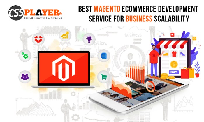 Magento Ecommerce Development Services: Unlocking the Power of Scalable ..<div class=