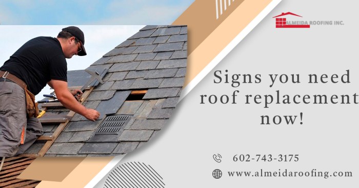 6 PROVEN SIGNS YOU NEED ROOF REPLACEMENT NOW! - Almeida Roofing 6 PROVEN SIGNS YOU NEED ROOF REPLACEMENT NOW! - Almeida Roofing