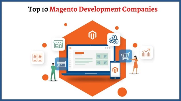 Top 20+ Magento Development Companies in 2024 Top 20+ Magento Development Companies in 2024